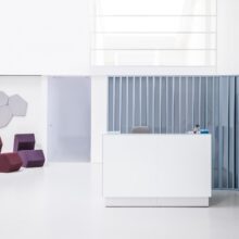 reception linea mdd (1)